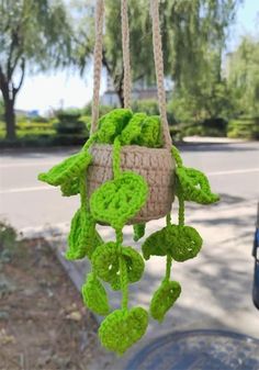 a green plant hanging from a rope in front of a blue car parked on the street