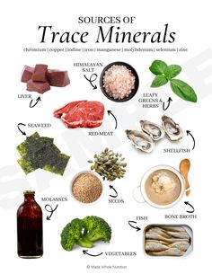 Sources of Trace Minerals Handout — Functional Health Research + Resources — Made Whole Nutrition Medicinal Foods, Link Edit, Tony Hale, Nutritional Therapy, Healthy Food Facts, Promotional Materials, Trace Minerals