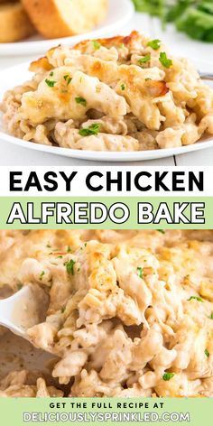 Dig into this Easy Chicken Alfredo Bake! Made with shredded chicken, creamy alfredo sauce, and cheesy goodness, this baked pasta casserole is a cozy dinner idea. Both kids and adults will love this comfort food recipe!