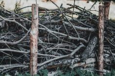 a pile of branches sitting next to each other on top of a grass covered field