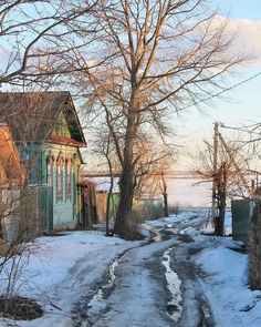 a dirt road in front of a house with snow on the ground and bare trees