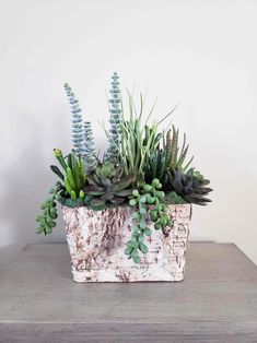 succulents and other plants are in a white planter on a table