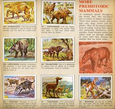 an old book with pictures of different animals