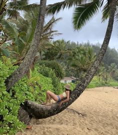 a woman laying in a hammock on the beach with palm trees behind her