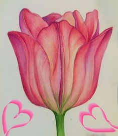 a drawing of a pink flower with two hearts