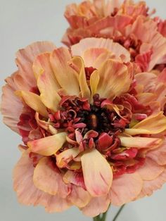 an orange and yellow flower is in a vase