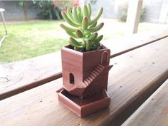 a small potted plant sitting on top of a wooden table next to a window