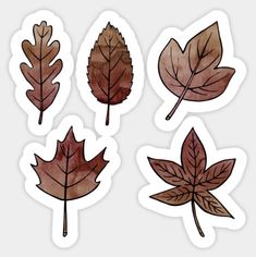 four different leaves stickers on a white background, one is brown and the other is red