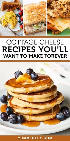 collage of cottage cheese recipes you'll want to make forever with text overlay