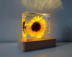 a yellow sunflower in a glass vase on a wooden base with light coming from behind it