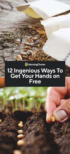 someone is planting seeds in the ground with text overlay that reads 12 ingenious ways to get your hands on free