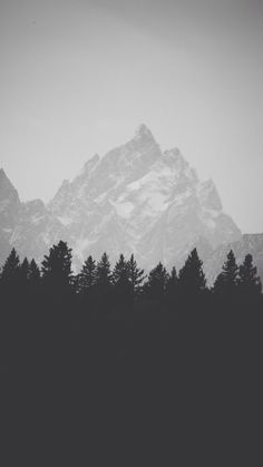 black and white photograph of mountains with trees in foreground