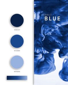 the blue color palette is shown in three different shades, and it looks like something out of