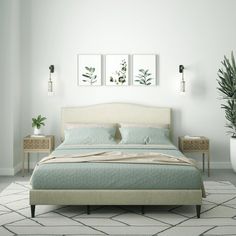 a bedroom with a bed, nightstands and potted plant