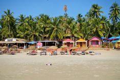 beach chairs and umbrellas are on the sand near palm trees in front of houses