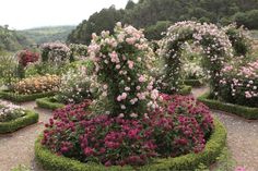 a garden filled with lots of pink and white flowers