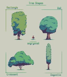 four trees with different shapes and sizes