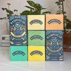 four boxes of hamstead tea sitting on a table next to a potted plant