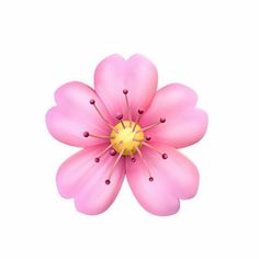 a pink flower with yellow center on a white background