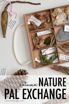 an open box filled with different types of rocks and pine cones on top of a white table