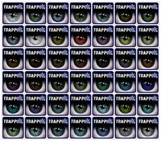 many different types of eyes with the words trapps on each eyelide and their names