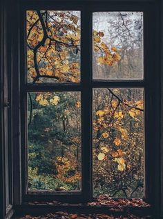 an open window with leaves on the ground and trees in the background, looking out