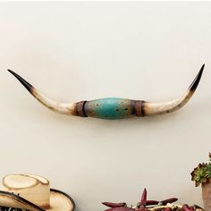 an animal's tail is hanging on the wall next to hats and other items