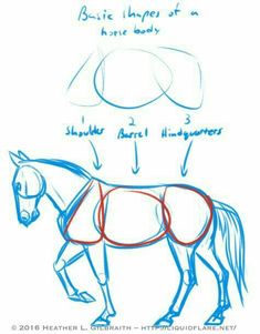 how to draw a horse with pencils in stages 1 and 2, step by step