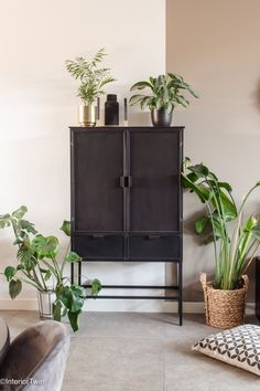 a living room filled with lots of plants next to a wall mounted planter on top of a black cabinet