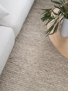 a white couch sitting next to a plant on top of a wooden table in a living room