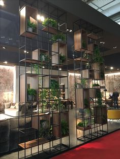 a room filled with lots of plants on shelves next to a red carpeted floor