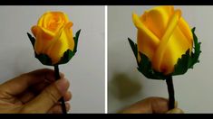 two pictures of a yellow rose being held up