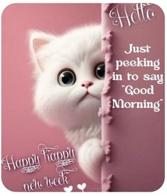 a white cat peeking out from behind a pink wall with the caption hello just peeping in to say good morning