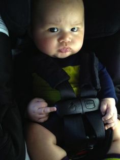 a baby sitting in a car seat wearing a black and yellow bib with buttons on it's chest