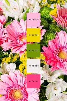 a bunch of flowers that are next to each other with different colors on them,