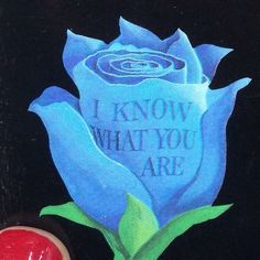 a blue rose with the words i know what you are painted on it