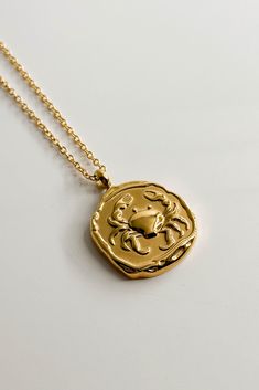 Gold Coin Jewelry, Men Jewellery, Queens Jewels, Money Collection, Zodiac Collection, Gold Coin Necklace, Sagittarius And Capricorn, Capricorn And Aquarius, Zodiac Pendant