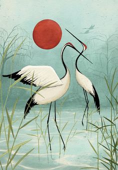 two birds are standing in the water near tall grass