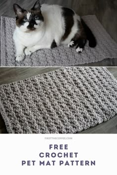 a cat laying on top of a crocheted rug next to a photo of a cat