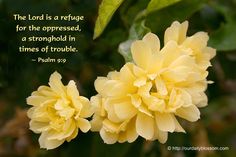 two yellow flowers with a bible verse about the lord is refuge for the oppressed, a stronghand in times of trouble