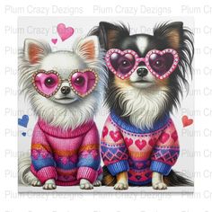 two small dogs wearing sweaters and heart shaped glasses are sitting next to each other