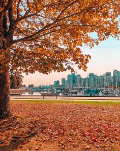 an autumn scene with boats docked in the harbor