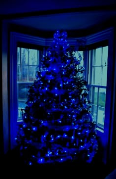 a lit up christmas tree sitting in front of a window with blue lights on it