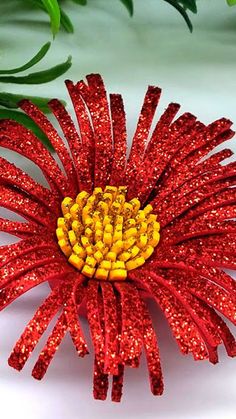 a red flower with yellow center sitting on top of a white table next to green leaves