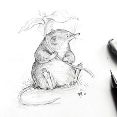 Shrew Tattoos, Shrew Illustration, Shrew Drawing, Mythical Creatures Drawings, Adventure Illustration, Sketches Pen, Mouse Drawing, Animal Doodles, Fairytale Illustration