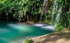 there is a waterfall in the middle of some water and green plants on the side