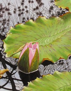 a painting of water lilies in the pond