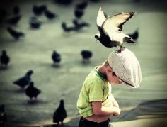 a young boy standing in front of a flock of birds on top of his head