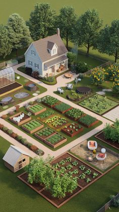 an artist's rendering of a garden in the middle of a yard with lots of plants