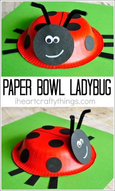 paper bowl ladybug craft for kids to make